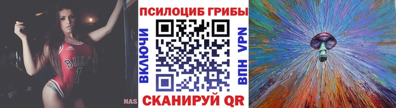 что такое   Карпинск  Галлюциногенные грибы Psilocybine cubensis 